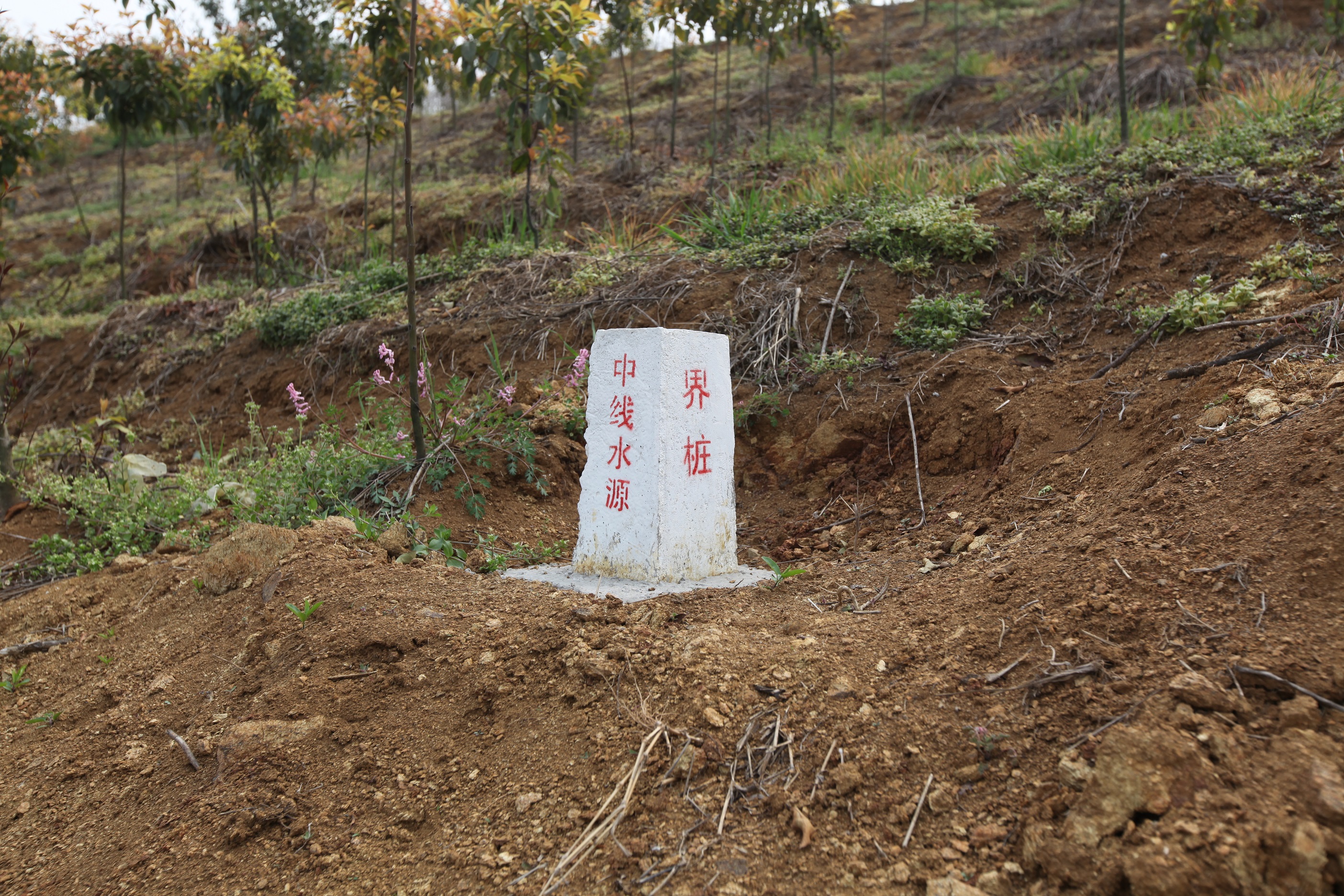 库区保护标志及安全隔离设施